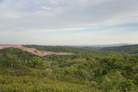 Close to the Monchique Natura 2000 site some forests are still in a more natural state. Here so far only small parts of the forests have been converted into Eucalyptus plantations. Incentives for forest owners are necessary to keep up sustainable forestry practices, especially in protected sites and valuable ecosystems.