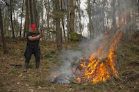  Most of the fres are caused by human activity, for instance the burning of organic waste like branches and leaves. During dry conditions, these fres can get out of control and spread quickly.