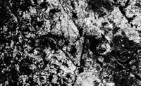 The Douro river and the sourrounding Eucalyptus Plantations highlighted as white areas in processed satellite imagery