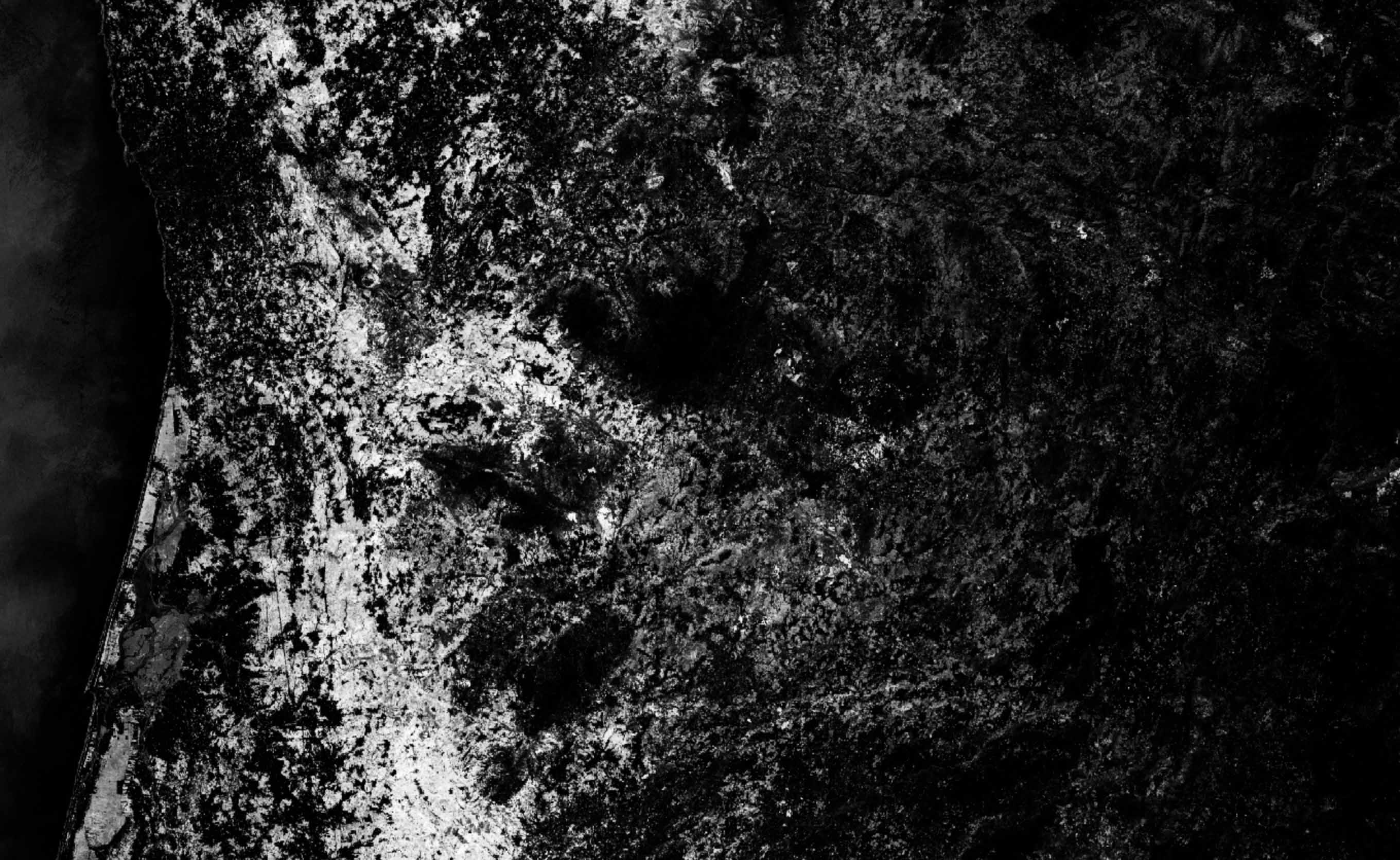 Processed Satellite Imagery. In white Eucalyptus plantations in Portugal are visible from space.